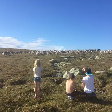 Jaktstuga Norefjell Panorama Noresund